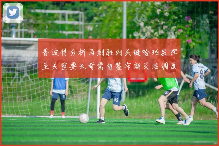 香波特分析马刺胜利关键哈珀发挥至关重要米奇需借鉴布朗灵活调度